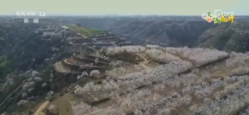 风从塬上来,志丹天气预报里的黄土情长 风从塬上来,志丹天气预报里的黄土情长