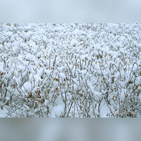 乌鲁木齐雪后初晴，一周气温波动需留意