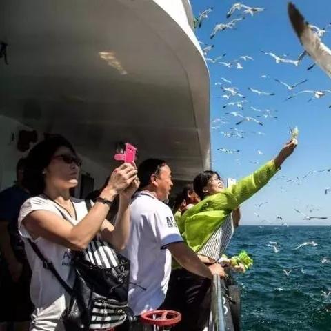 烟台市天气预报，海风中的温度密码