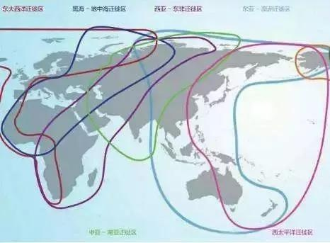 十五度的迁徙 十五度的迁徙