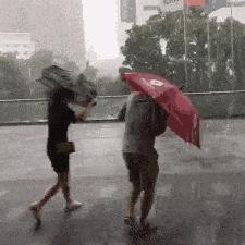 泰州未来15天天气预报，提前掌握，从容规划生活
