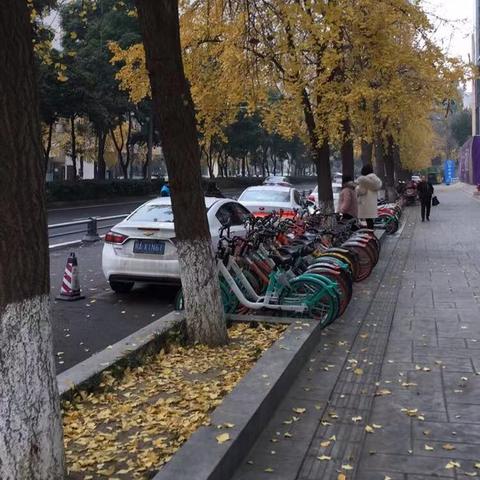 一周天气早知道，轻松掌握未来七天气象变化
