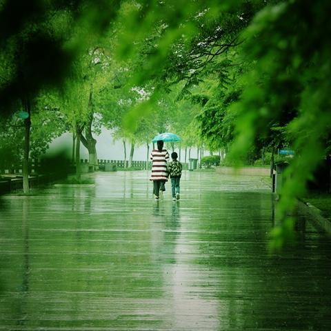 建德未来15天天气预报，晴雨先知，出行从容