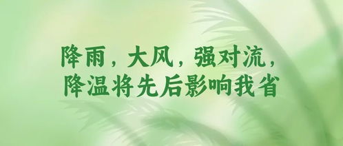 陪你走过晴雨，见证岁月冷暖—致天天天气预报