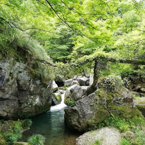 安徽未来七天晴雨相间，气温波动需注意