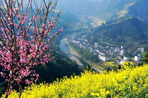 泸州2024年11月天气，秋意渐浓，暖阳伴微寒