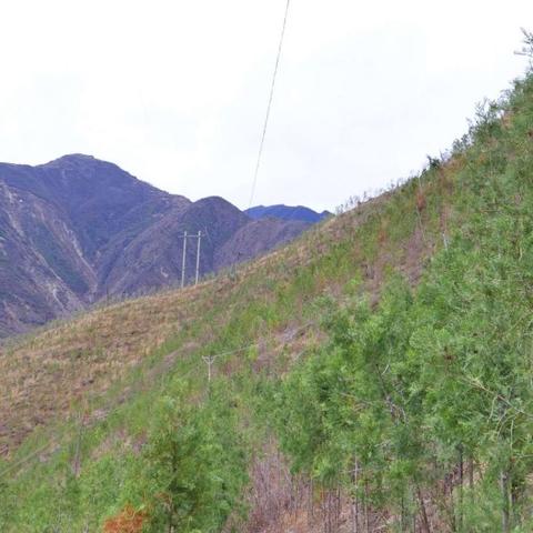 陇南天气，一方水土的呼吸与脾气