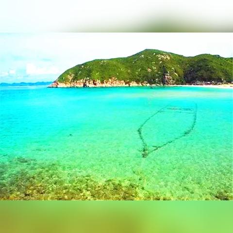 海南气温最近15天查询，暖冬里的海岛天气指南✅大赢家足球网站