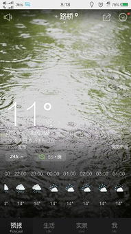 沙坪坝的雨，天气预报的云