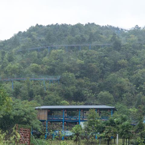 石林天气指南，探秘喀斯特奇观前的必备信息