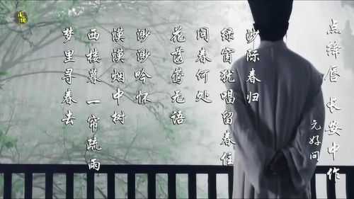 一帘疏雨，半卷闲情