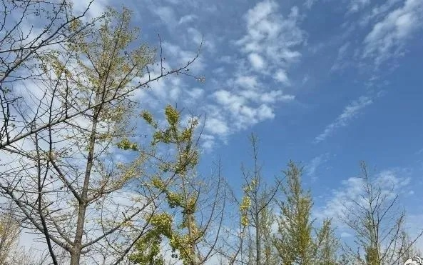 聊城天气，一座北方水城的四季物语