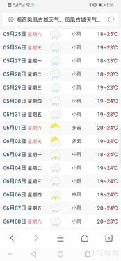 洛阳15天天气预报，古都气象一览，出行从容指南