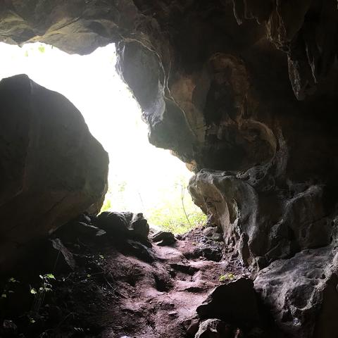 佛山四月天，一场与潮湿共舞的温柔叙事