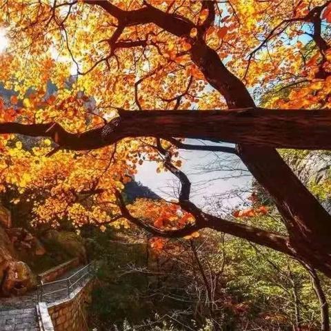 登封天气预报，探寻天地之中的气候密码