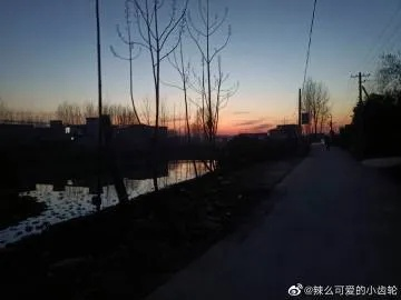 沈丘天气，四季流转中的小城记忆