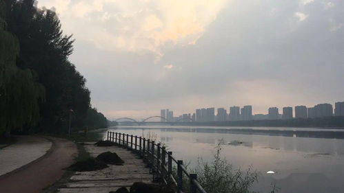 今日宜昌，风雨恋城，气温微澜