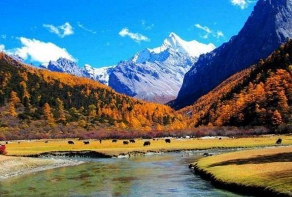 稻城亚丁几月份去最好？四季皆美，但这几个月最值得出发