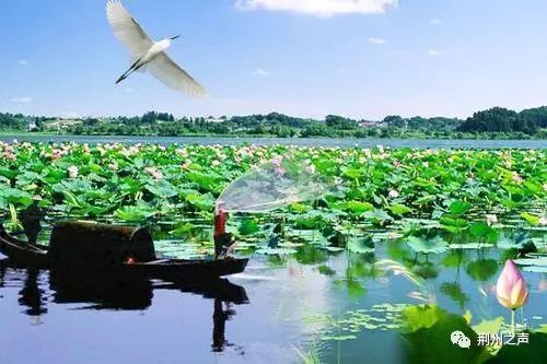 洪湖天气，水乡天空藏四季的诗