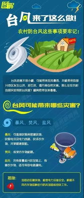 指尖上的天气哨兵，最新版台风软件如何改变防灾新格局