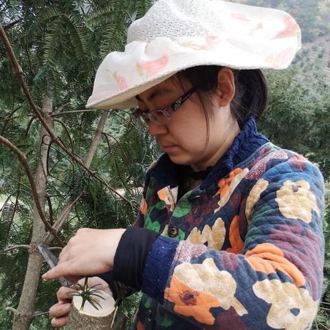 东阳天气预报15天查询百度，掌握未来天气，从容规划每一天