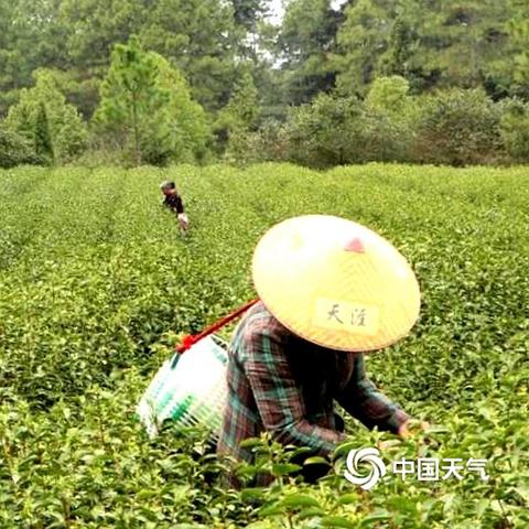 江西未来十五日天气，晴雨交织，气温起伏需留意