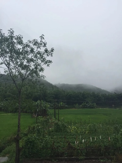 桃源天气预报，雨落心田，晴耕岁月