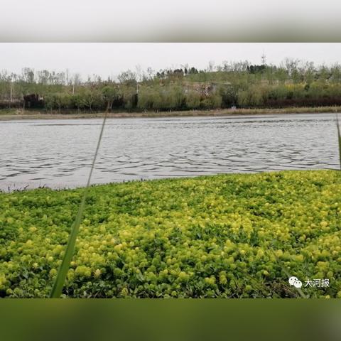 河南全省天气预报,未来三天晴雨交替,北部地区需防强对流 河南全省天气预报,未来三天晴雨交替,北部地区需防强对流
