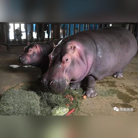 西安春如四季乱穿衣，这份洋葱式穿搭指南请收好